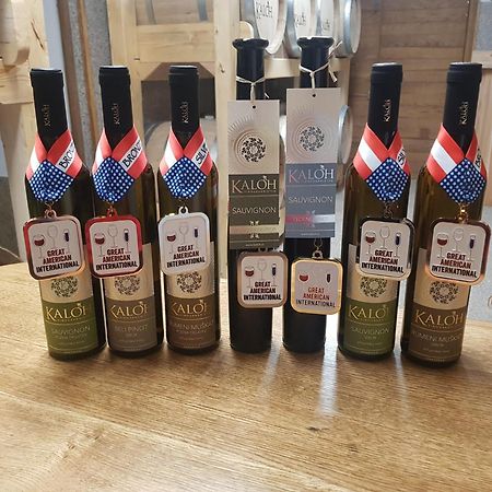 Wine House Kaloh Villa Maribor Dış mekan fotoğraf