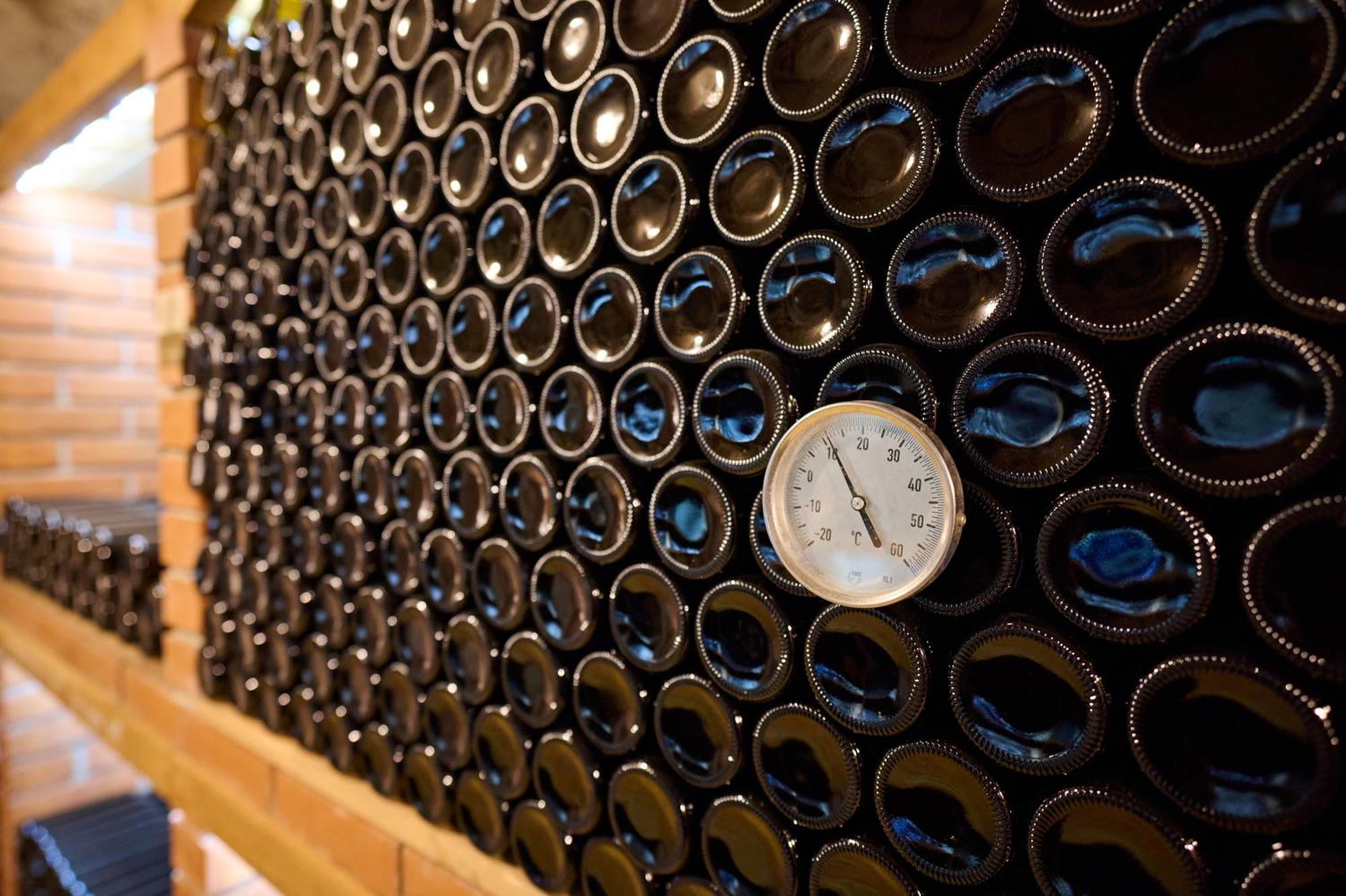 Wine House Kaloh Villa Maribor Dış mekan fotoğraf