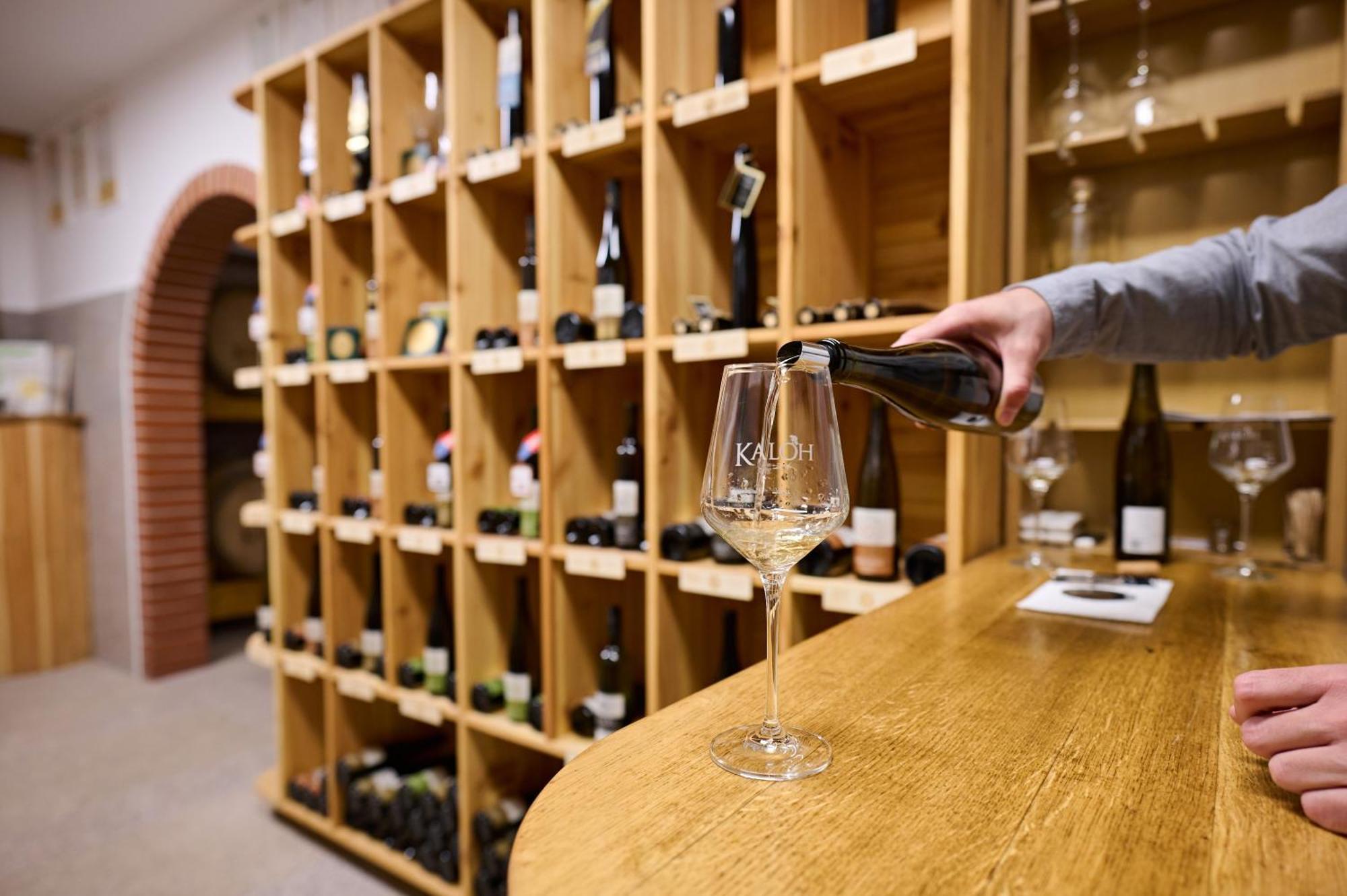 Wine House Kaloh Villa Maribor Dış mekan fotoğraf