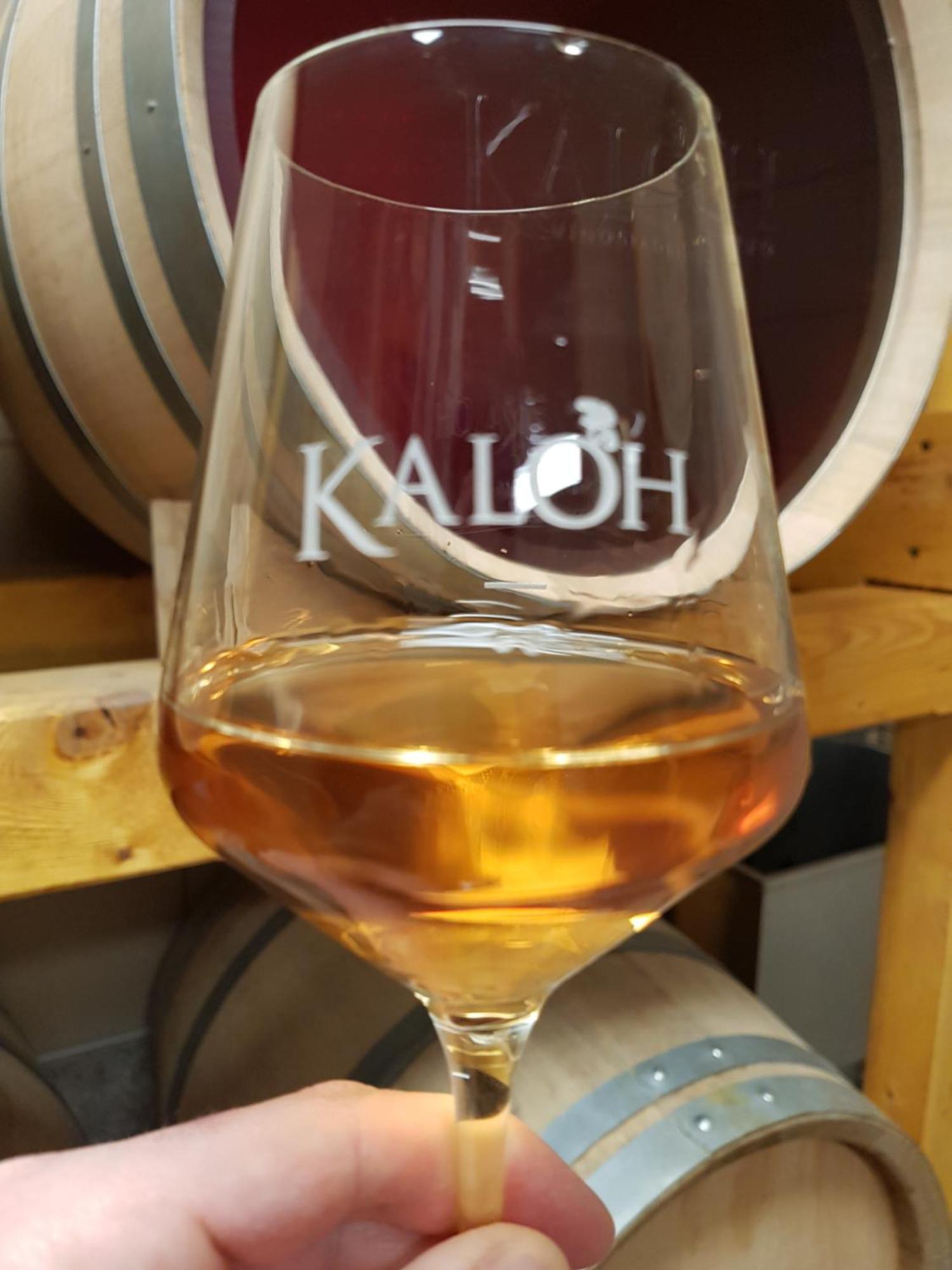 Wine House Kaloh Villa Maribor Dış mekan fotoğraf