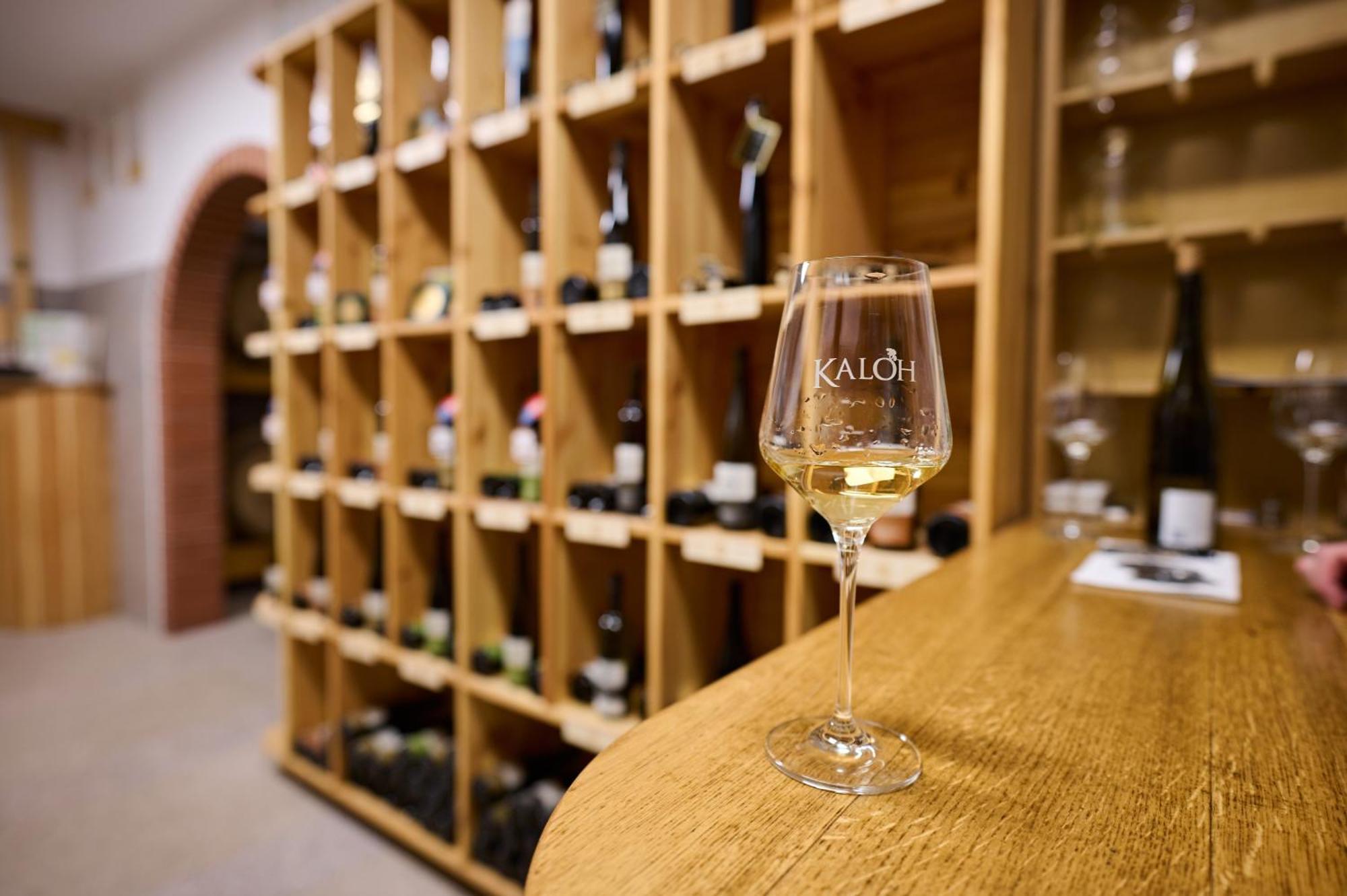 Wine House Kaloh Villa Maribor Dış mekan fotoğraf