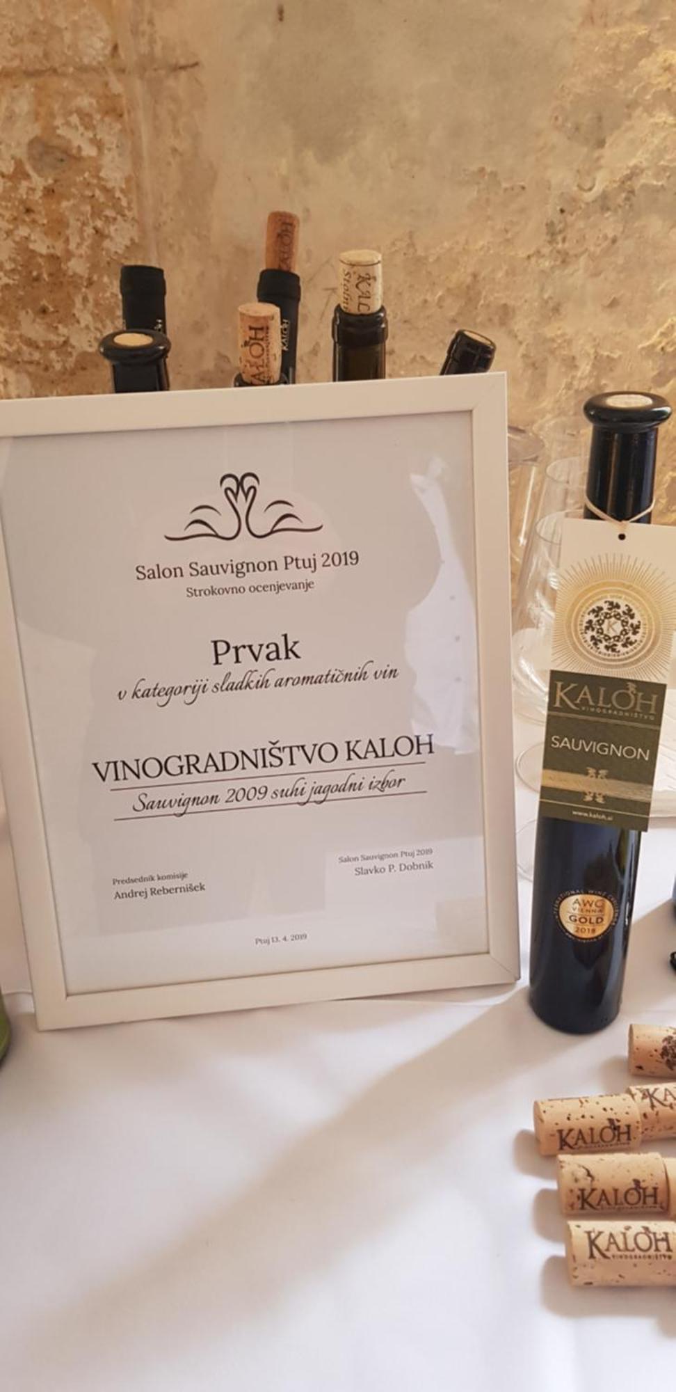 Wine House Kaloh Villa Maribor Dış mekan fotoğraf