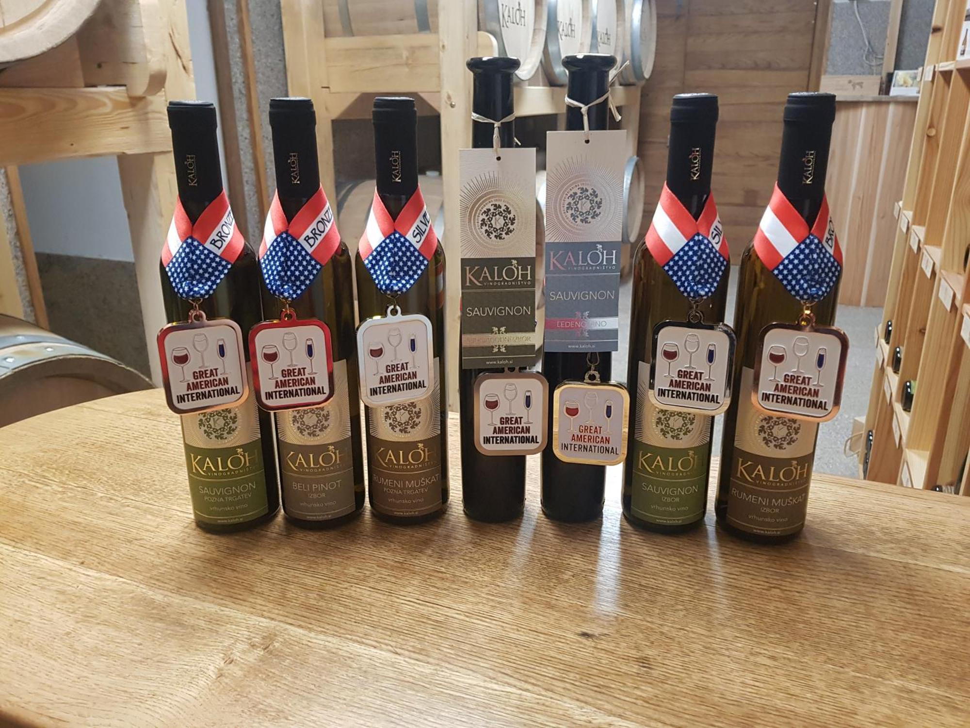 Wine House Kaloh Villa Maribor Dış mekan fotoğraf