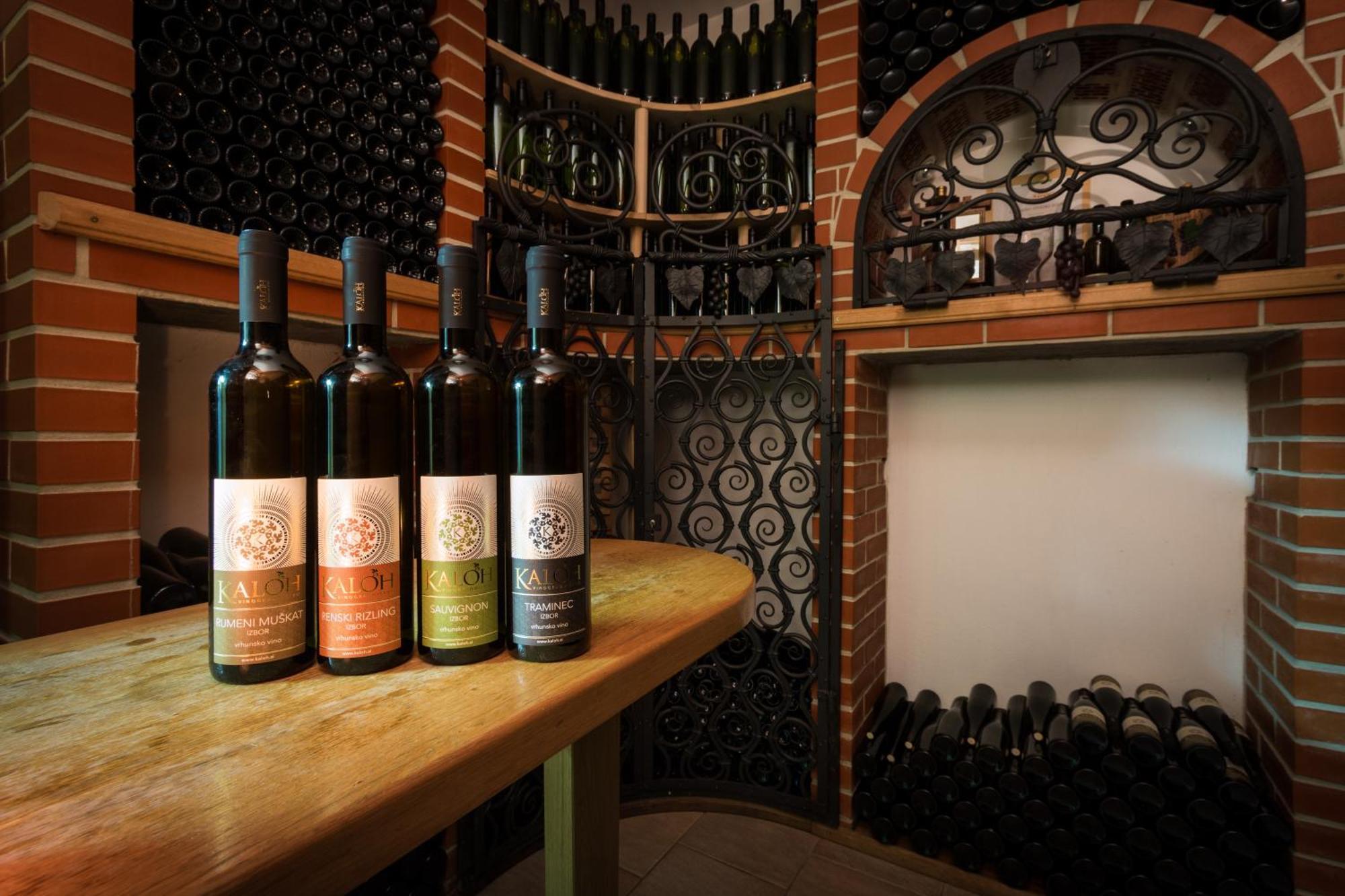 Wine House Kaloh Villa Maribor Dış mekan fotoğraf