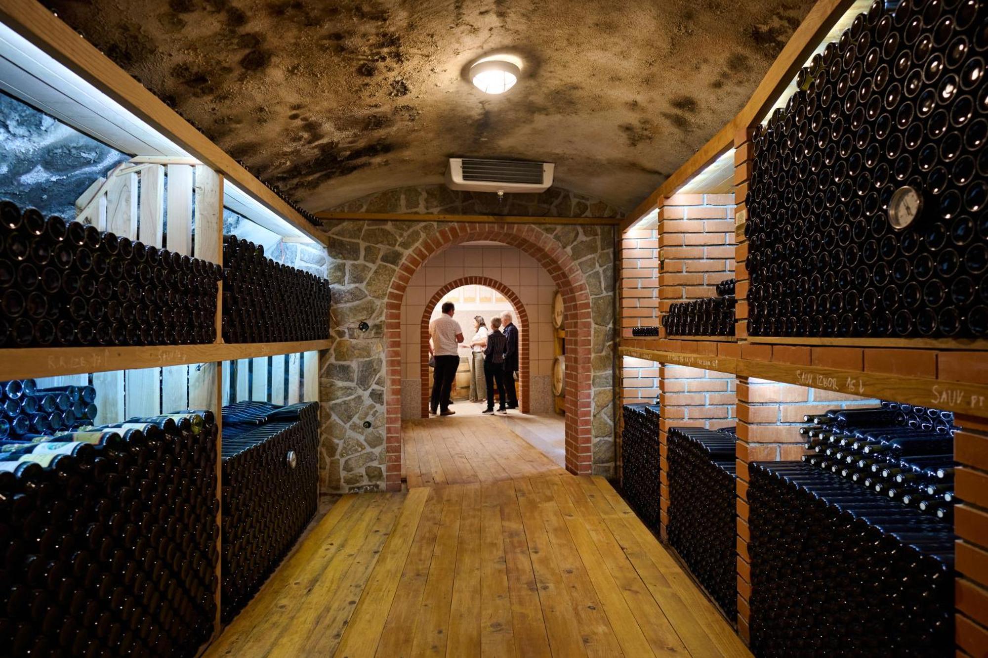 Wine House Kaloh Villa Maribor Dış mekan fotoğraf