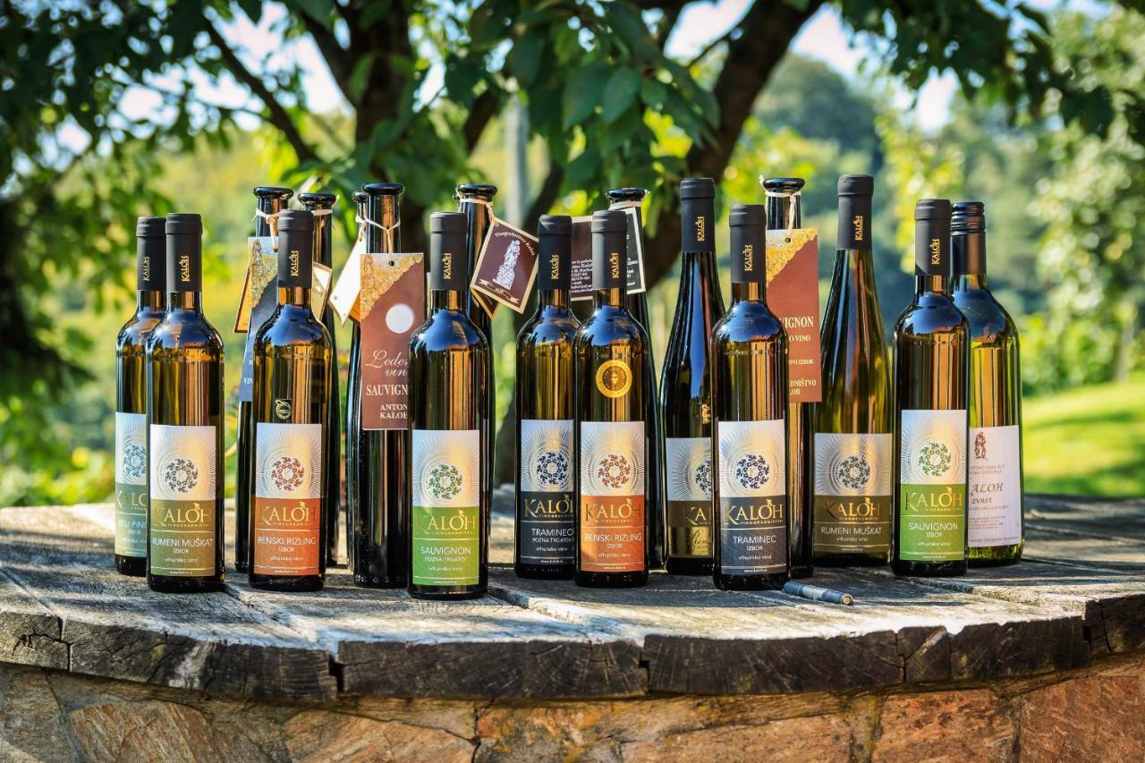 Wine House Kaloh Villa Maribor Dış mekan fotoğraf