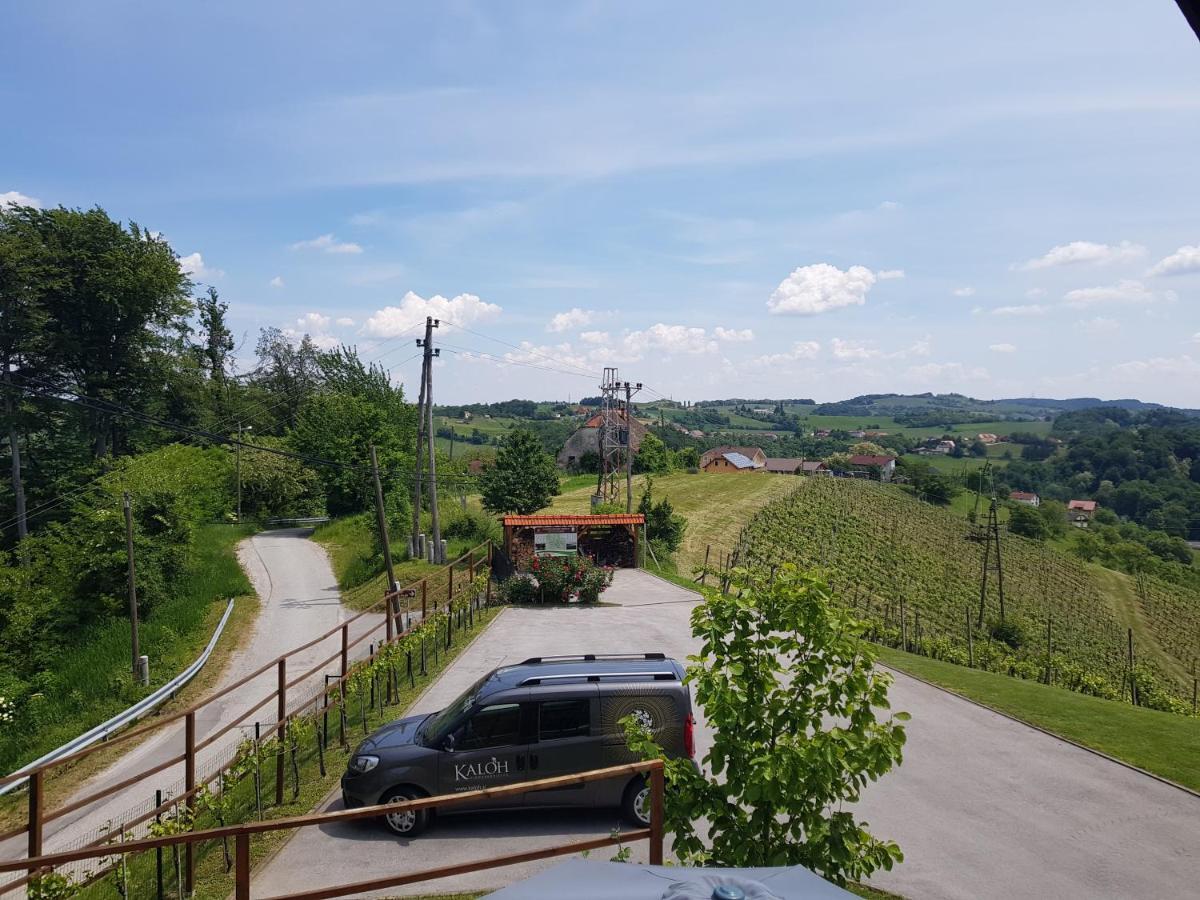 Wine House Kaloh Villa Maribor Dış mekan fotoğraf